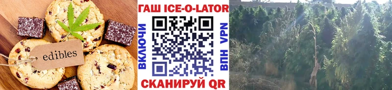 Еда ТГК конопля  площадка как зайти  Поворино  цена   OMG как зайти 