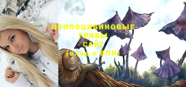 соль ск Нефтекумск
