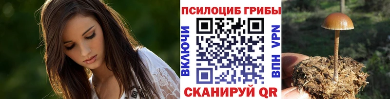 Галлюциногенные грибы мухоморы  закладка  Поворино 